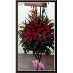 CBF-004